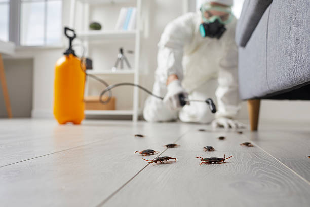 Commercial Kitchen Cockroach Control in Sutherlin